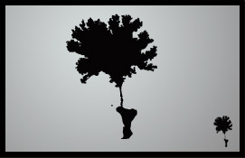 lsd reflexion naturelle